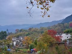 -塔川景区