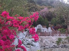 -小南山公园
