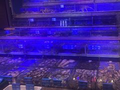 -青蓬蒸汽海鲜·深圳老字号·团建聚会(壹方城店)