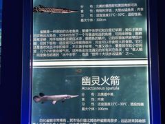 -石家庄海洋公园