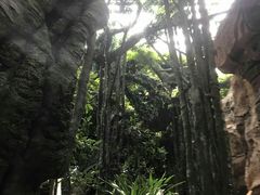 -龙达温泉生态城