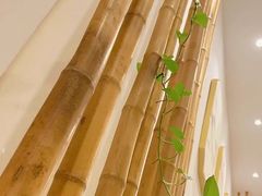 -尔悦采耳·头疗·SPA体验馆(万象城店)