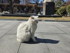 -北京鲁迅博物馆(北京新文化运动纪念馆鲁博馆区)