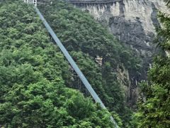 -鹿院坪生态旅游景区