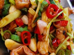 -金蝉食府(维吉奥广场店)