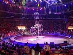 -俄罗斯国家大马戏团