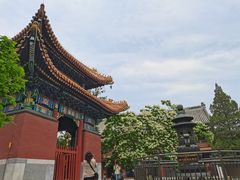 -北京国子监胡同