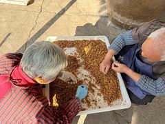 -苏州市吴中区光福窑上花果蜜饯厂