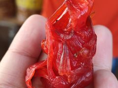 -南沙十九涌渔人码头-南门