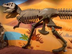 -北京科学中心儿童乐园