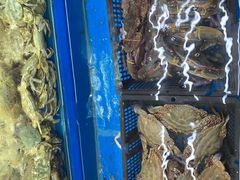 -香满居张记小厨私房菜(青岛站店)