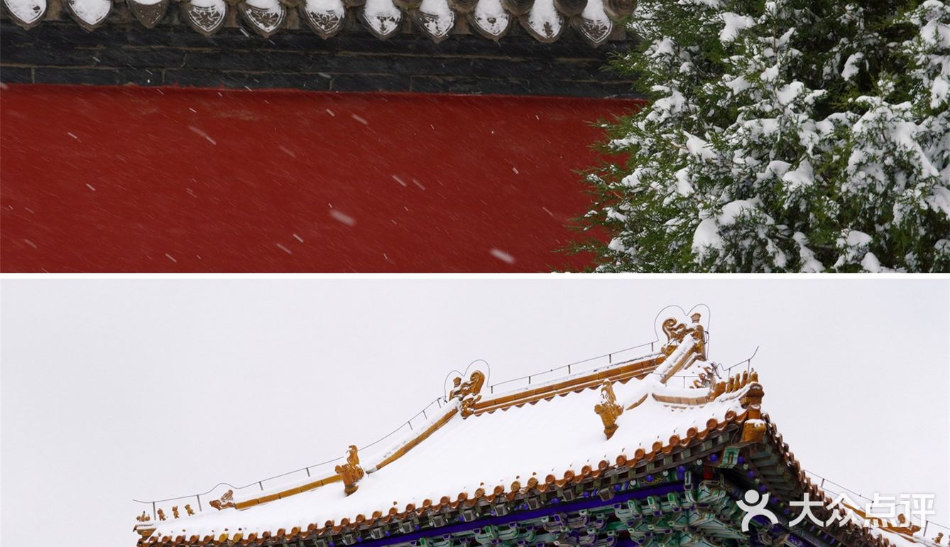 沈阳冬天的第一场雪｜大雪让沈城变成了盛京