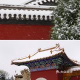 沈阳冬天的第一场雪｜大雪让沈城变成了盛京