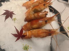 -桂满陇·海市蜃楼·黑金(国金店)