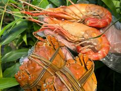 -水岸居湖景农家乐·阳澄湖大闸蟹