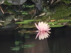 -望江楼公园