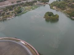 -嘉定凯悦·咖啡厅