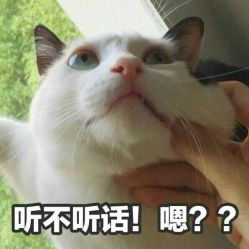 -CHIC 国潮男士发型