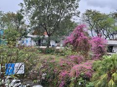 -攀枝花公园