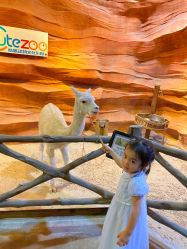 -酷嗒动物文化乐园(cutezoo西溪乐天城店)