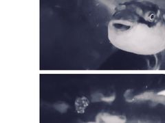 -观桥阁(锦溪店)