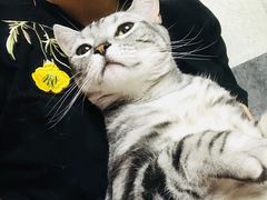 -爱宠屋pet shop·宠物洗澡·宠物美容
