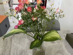 -E.beauty驻颜·痘敏肌调理中心