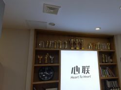 -心联形象设计·流星染