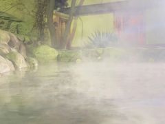 -华山御温泉度假村