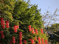 -周正水煮活鱼·吊水鱼(万科店)