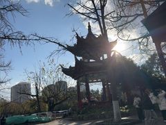 -MAP CHA普洱茶馆(翠湖店)