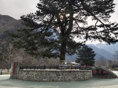 -秦岭终南山世界地质公园翠华山景区