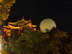 -巴倒烫陆派火锅山庄(南山总店)