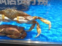 -盒马鲜生(双清路店)