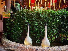 -鹅滋道(甘坑古镇店)