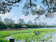 -南宁南湖公园