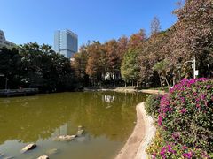 -黄埔荔枝公园
