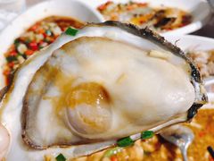 生蚝-阿杰臻选海鲜饭店(普陀山店)