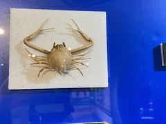 -上海昆虫博物馆