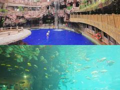 -长鹿旅游休博园