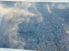 -上海吴淞炮台湾国家湿地公园