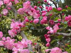 -梁鸿国家湿地公园