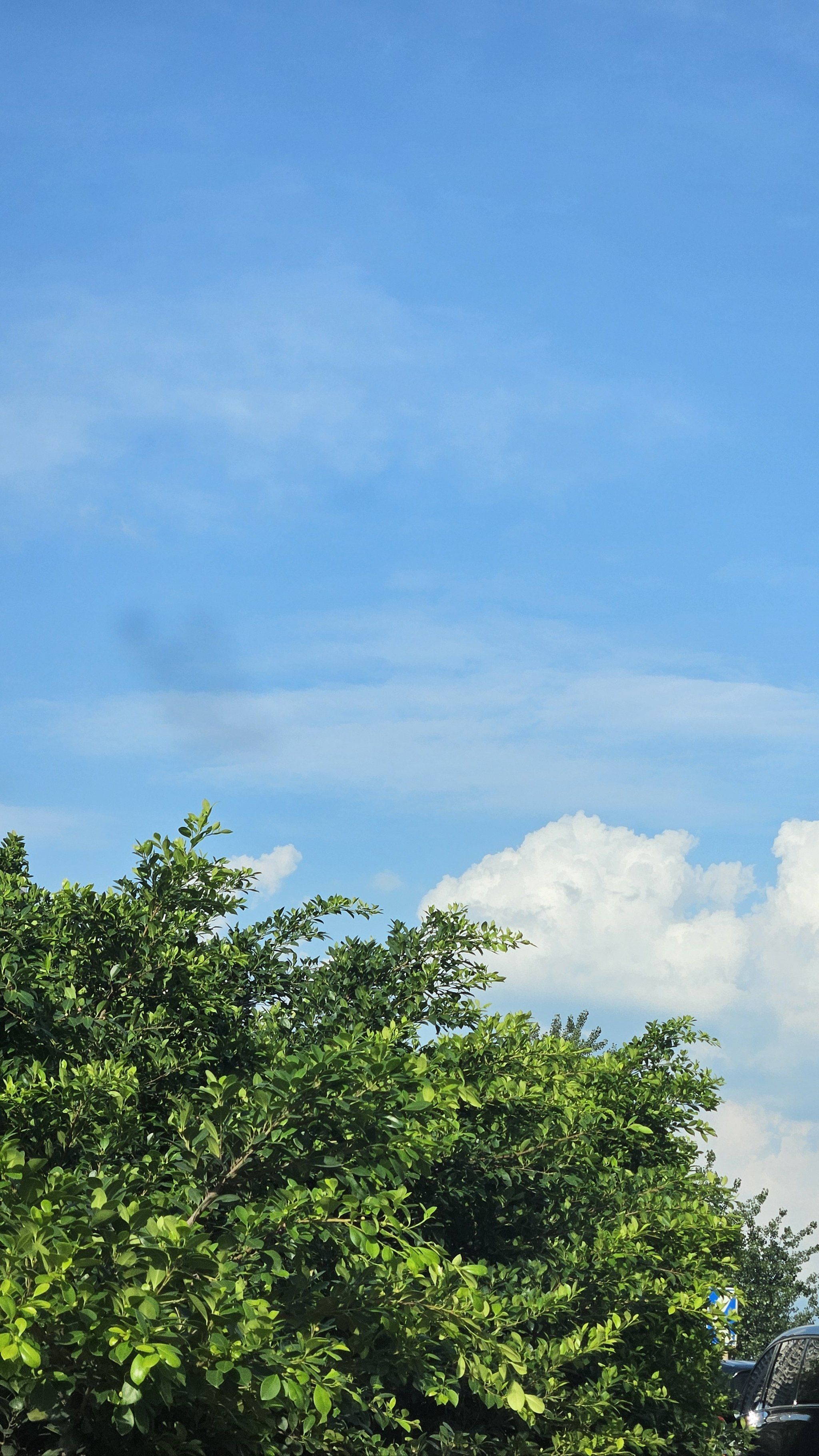 云朵跟棉花糖一样～治愈系的风景～
