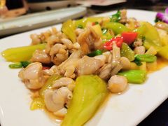 -新南华大酒店(广中店)