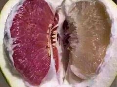 -西部牛排(当涂店)