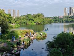 -重庆彩云湖湿地公园