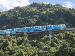 -李子坝梁山鸡(李子坝大鸡哥店)