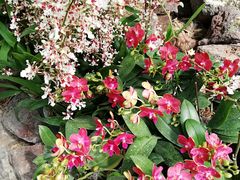 -南通洲际绿博园