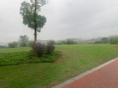 -金海湾滨江公园