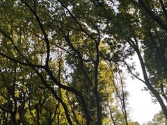 -新江湾城公园